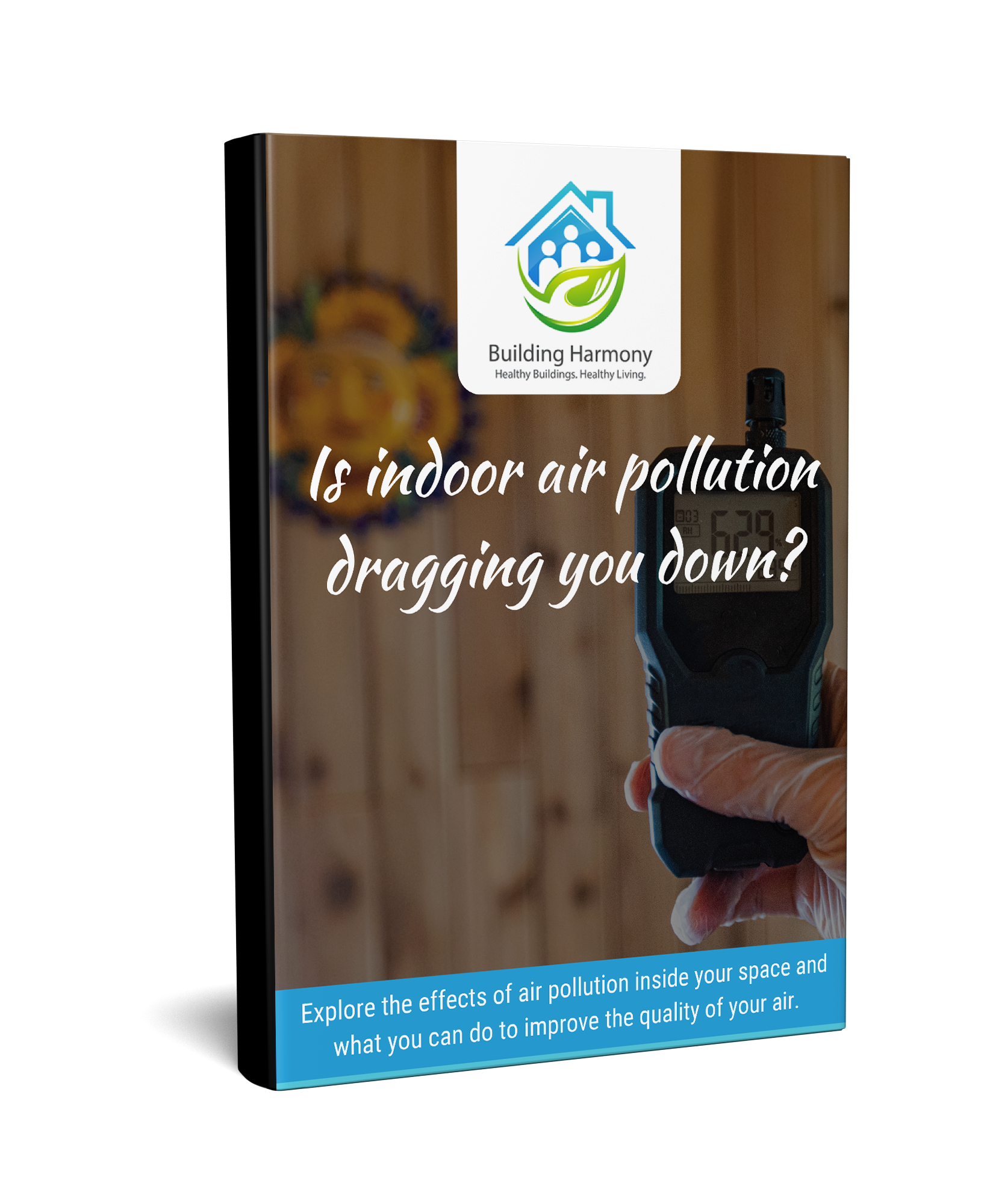Indoor Air Pollution ebook image
